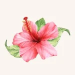 Pink~ <3 Group Thumbnail