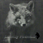 Lonely Foxes