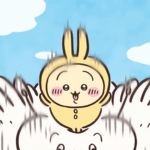 USAGI³³