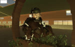 Equestrian Eventing - EE