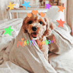 •ᴍɪɴᴛʏ’s ʜᴀɴɢᴏᴜᴛ•