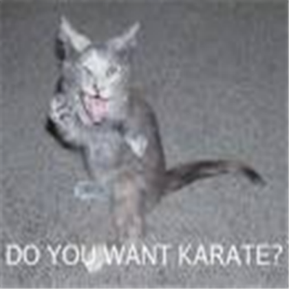funny cat doing karatay on sale Roblox decal