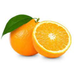 OrangeTheBot official Fan Group