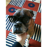 scooby ##### ###