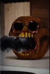 Annoying Orange Studios