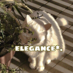 elegance*.