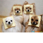 Airplane fans and awesome people T.A.A.T