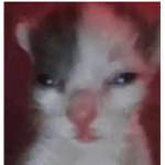 Dirt_YT's cool group