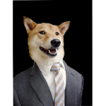 doge in a suit