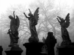 Angels Vibes
