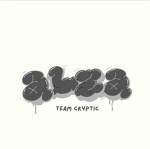 Team Cryptic 文
