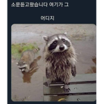 김덱트 공식 유튜브 그룹