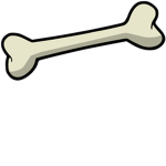 Bone Development