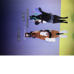 ~Willow Academy~