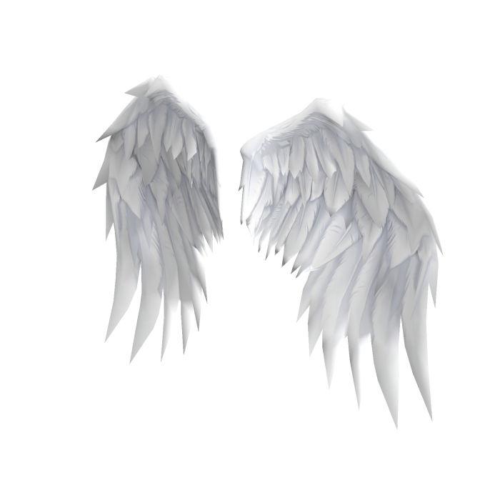 White Angel Wings 