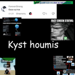 Kуst houmis