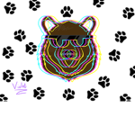 x Bear crew x