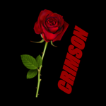 Crimson Crime