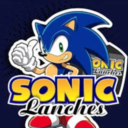 Sonic icon