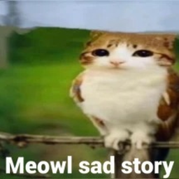 [UPD] Meowl Sad Story