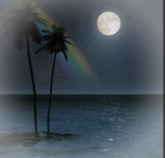 HAWAII:PART 2