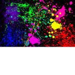 The Amine