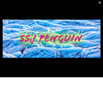 SSJ_Penguins Fan Group