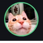 The cat dudes!!!