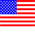 U.S GROUND FORCE
