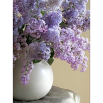 ~ Lilac Lovelies