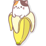 Yellow Friend's