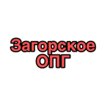 ОПГ "Загорское" (Суровая Россия RP)