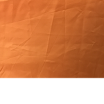 The ROBLOX Gaming Squad!