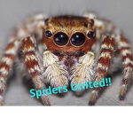 Spiders United!!!!