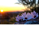 clxudy_sunset