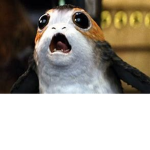 Porg legion