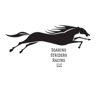Soaring Striders Racing LLC