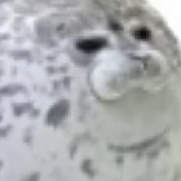 sealcity