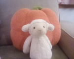 The jellycats
