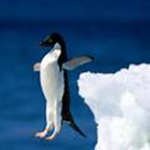 The Happy Penguins