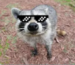 RKG GANG