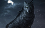 join group if you dare