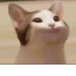 티모티모열매