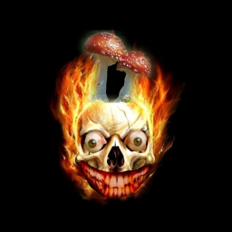 Survive the creatures [BETA]