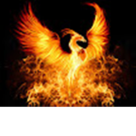 Phoenix fan groop