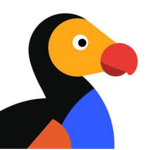 - Dodo FanClub -