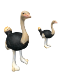 Ostrich BodyGuards