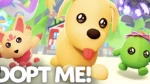 Primrose MEGA GRINDING adopt me Group Thumbnail
