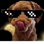 epic dog gang