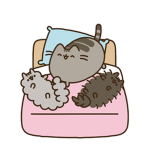 The Crazy, Cute Cat Club